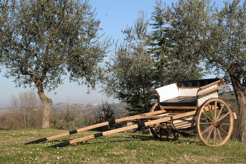 Il Calesse restaurato dal Laboratorio "Il Calesse" (foto E. Salvatori)